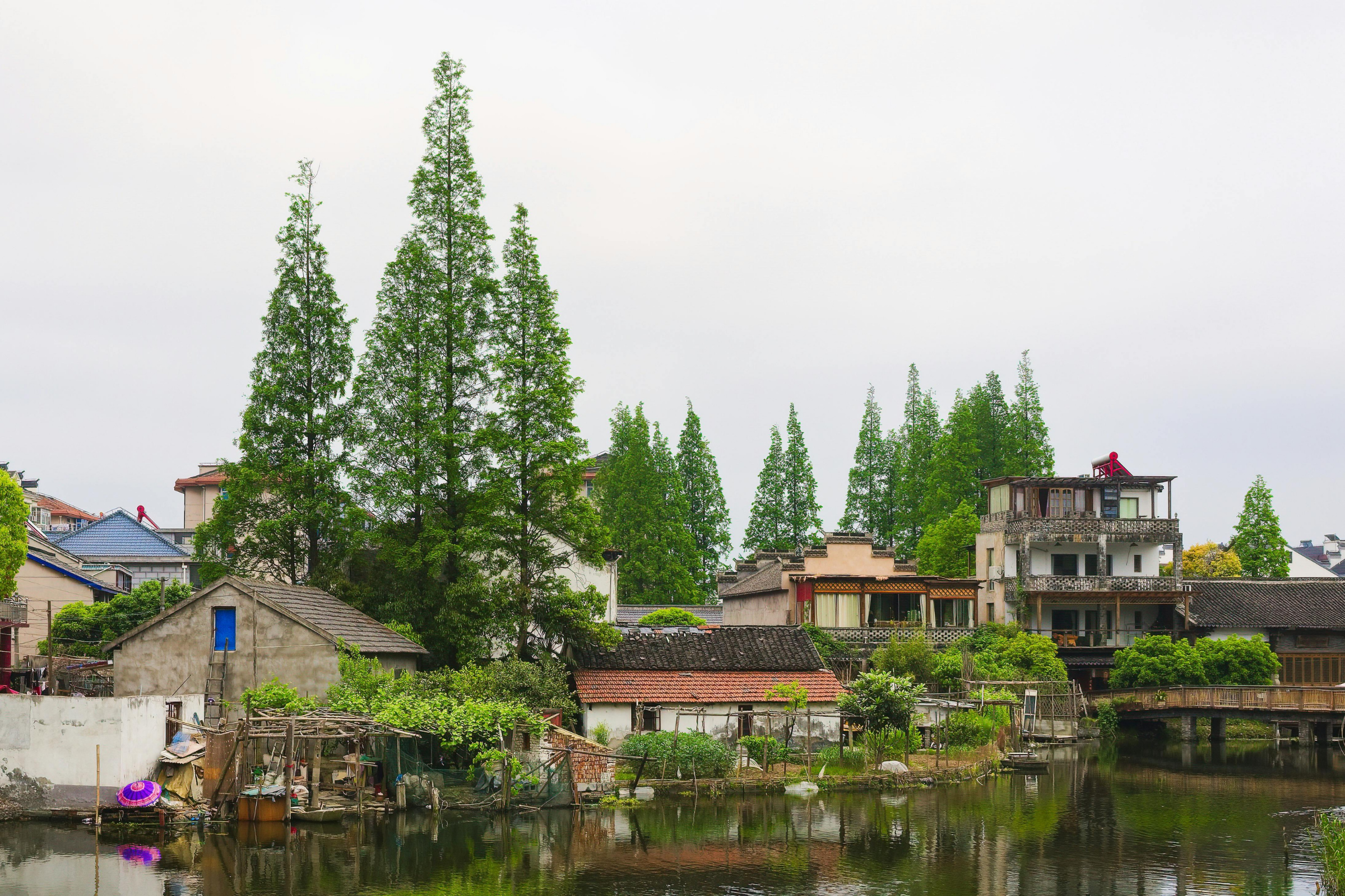 zhujiajiao (3).webp